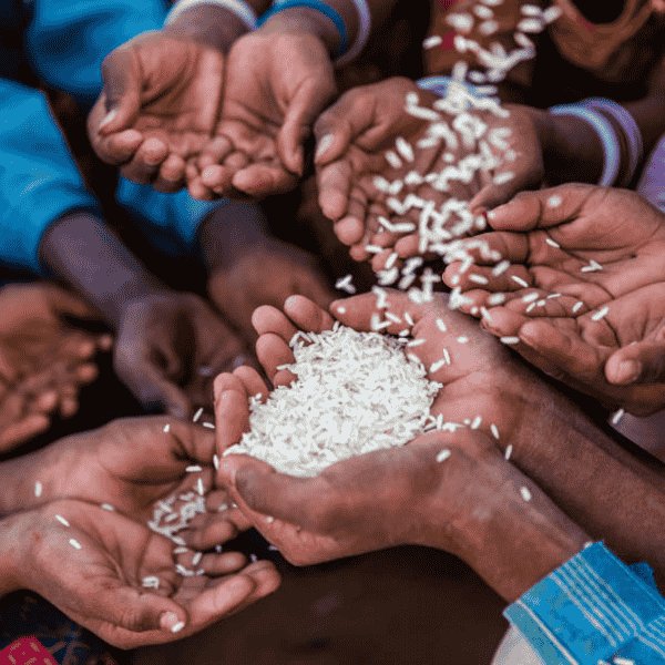 Help to raise valuable donations